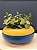 Cachepot em Cerâmica - Colorido - 29CM - Imagem 1
