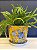 Cachepot em Cerâmica - Amarelo e Azul - 20CM - Imagem 1