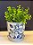 Cachepot em Cerâmica - Azul e Verde - 12,5CM - Imagem 1