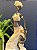 Escultura Decorativa - Africanas - Resina - Imagem 2