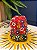Coruja Decorativa - Cêramica - Pintado à mão - 9cm - Vermelho e Preto - Imagem 2