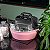 Misturador eletrico 10 litros Bivolt (panela automatica) 50/60 HZ Rosa - Imagem 2