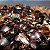 100 Baratas do Suriname - Imagem 1