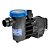Bomba p/ Piscina Syllent C/ Pré-Filtro 1/4CV 220V Autoescorvante - Imagem 1