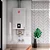 Aquecedor a Gás Rheem - Digital - 20L - Bivolt - Imagem 2