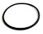 Oring Jacuzzi - Tampa PF B - Imagem 1