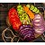 Fatiador de Legumes Manual em Inox Reforçado com Regulagem - Imagem 4