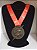 Treino Virtual - Medalha Flash - Imagem 1