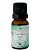 Essência Concentrada 10 ml - Capim Limão - Imagem 1