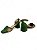 Sapato Your Shoes Telado Laço Verde - Imagem 4