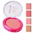 Miss Rose - Blush Compacto Matte Glow MR066 - 16 Und - Imagem 6