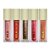 Ruby Rose - Dreamy Lips Gloss Silk Skin HBF7200 - 36 Und - Imagem 4