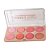 Sarah's - Blush Iluminador S6319 A1 e A2 - 6 Und - Imagem 2