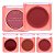Pink 21 - Blush Labios e Bochechas CS4708 - 24 Und - Imagem 3