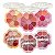 Lua e Neve - Paleta de Sombras Flor LN02490 - 24 Und - Imagem 3