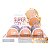 Pink 21 - Po Compacto Super Stay 24 Horas CS5100 - 3 Und (A) - Imagem 5