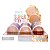 Pink 21 - Po Compacto Super Stay 24 Horas CS5100 - 6 Und (B) - Imagem 4