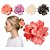Importado - Prendedor de Cabelo Piranha Rosa Sortido MM5675 - 12 Und - Imagem 1