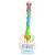 COLUNA VERTEBRAL COLORIDA E FLEXÍVEL DE 40 CM C/ BASE -SDORF - Imagem 1
