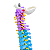 COLUNA VERTEBRAL COLORIDA E FLEXÍVEL DE 40 CM C/ BASE -SDORF - Imagem 8