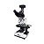 MICROSCÓPIO BASIC TRINOCULAR PLANACROMÁTICO - K55-TP - OLEN - Imagem 6