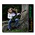 COMBO CD INSULAR - HUMBERTO GESSINGER - Imagem 2