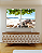 Conjunto com 02 Quadros Decorativos Caminho do Mar - Artista James Hilton Becker - Imagem 1