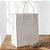 Sacola de Papel M 26x19,5x9,5cm - Branco - 10 unidades - Cromus - Rizzo - Imagem 1