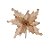 Enfeite de Natal Poinsétia com Glitter Marrom 01 Unidade Cromus Rizzo - Imagem 1