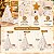 Caixa Arvore Panetone Estrelas Natal 03 Unidades Decora Doces Rizzo - Imagem 2