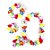 Kit Havaiano - Adereço de Carnaval  - Multicolorido  - NYR-6911 - 01 unidade - Rizzo - Imagem 1