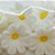 Confeito de Açúcar p/ Acabamento - Flor Margarida Branco/Amarelo - Tamanho G - 1 unidade - 12 Peças - Rizzo - Imagem 2