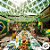 Varal Decorativo - Bandeira do Brasil - Papel - 35,5cm x 34cm - 10 Metros - 01 unidade - Rizzo - Imagem 6