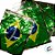 Varal Decorativo - Bandeira do Brasil Metálica - 44cm x 36,5cm - 10 Metros - 1 unidade - Rizzo - Imagem 2