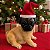 Cachorro Pug - Decoração de Natal - sem Movimento - Branco/Marrom - 1 unidade - Cromus - Rizzo - Imagem 1