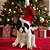 Cachorro Bulldog - Decoração de Natal - sem Movimento - Branco/Preto - 1 unidade - Cromus - Rizzo - Imagem 1