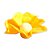 Forminha para Doces Finos - Cheri - Monolucido Amarelo Gema - 50 unidades - Maxiformas - Rizzo - Imagem 1