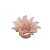 Forminha Para Doces Finos - Estrela do Mar Nude Claro Matte - 20 unidades - Decora Doces - Rizzo - Imagem 1