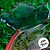 Petisqueira Cenoura de Vidro - Laranja/Verde - 26,5cm - 1 unidade - Cromus - Rizzo - Imagem 3