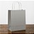 Sacola de Papel G 32x26,5x13 - Prata Fosco - 10 unidades - Cromus - Rizzo - Imagem 1