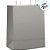 Sacola de Papel G 32x26,5x13 - Prata Fosco - 10 unidades - Cromus - Rizzo - Imagem 2