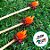 Pick Decorativo de Festa Junina - Fogueira - 9,5cm - 10 unidades - Rizzo - Imagem 3