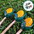 Pick Decorativo de Festa Junina - Milho - 9,5cm - 10 unidades - Rizzo - Imagem 3