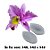 Molde de silicone Veiner Orquídea Superior Ref. 543 Flexarte Rizzo Confeitaria - Imagem 1