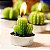 Molde de silicone Cactus S157 Molds Planet Rizzo Confeitaria - Imagem 3