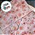 Papel de Seda - 49x69cm - Blossom  - 10 unidades - Cromus - Rizzo - Imagem 3