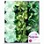 Forminha para Doces Finos - Cheri - Tons Pint Verde - 50 unidades - Maxiformas - Rizzo - Imagem 1