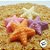 Forma de Acetato Especial - Estrela do Mar - Ref.9647 - 1 unidade - BWB - Rizzo - Imagem 3