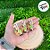 Mini Prendedor Decorativo de Páscoa - Coelho Verde Segurando Cenoura - 5cm - 6 unidades - Cromus - Rizzo - Imagem 3
