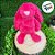 Coelho de Pelúcia Pink - 30cm - 1 unidade - Rizzo - Imagem 1